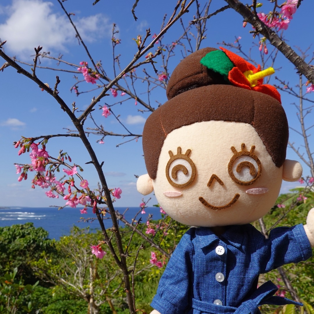 マハエちゃんのおきなわ物語 - マハエちゃんのおきなわ物語 added a new photo.