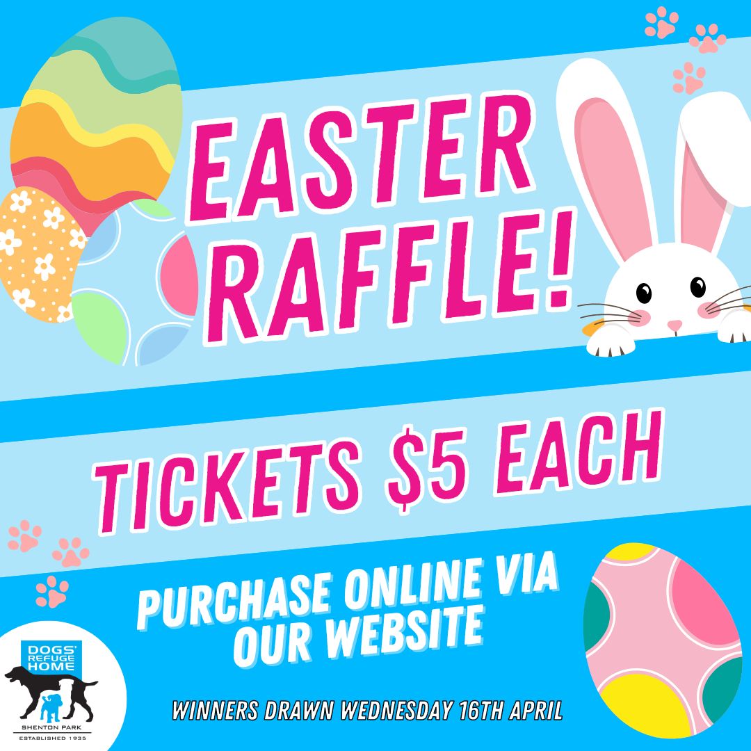 🍫🐰 EASTER RAFFLE TICKETS ON... - Dogs' Refuge Home WA INC | Facebook