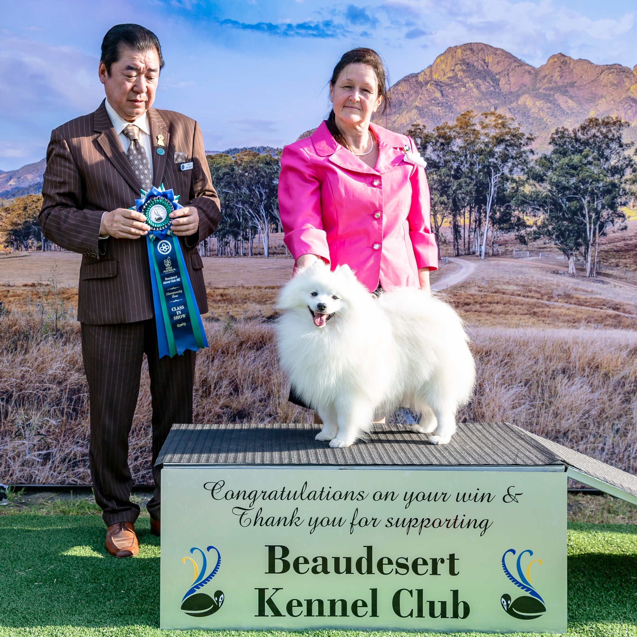 Japanese Spitz Club added a new photo. - Japanese Spitz Club