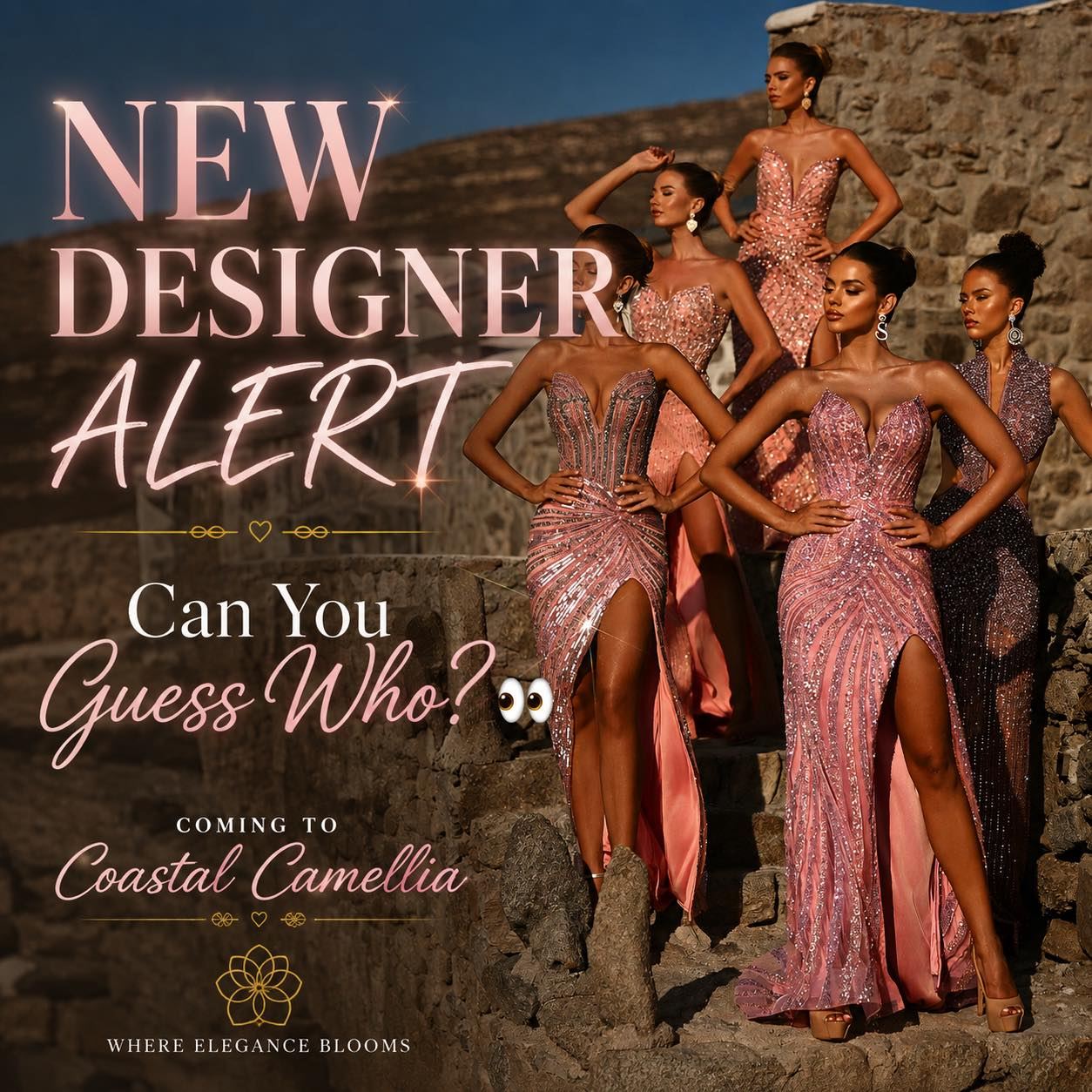 Dress Shops Vendor Foley Al Coastal Camellia Formal Sales Wear And Pageant Company AL