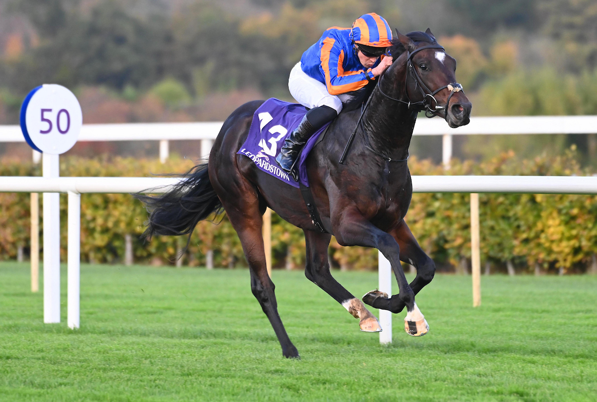 Racing - Twain is set to miss Saturday's 2000 Guineas, with Expanded ...