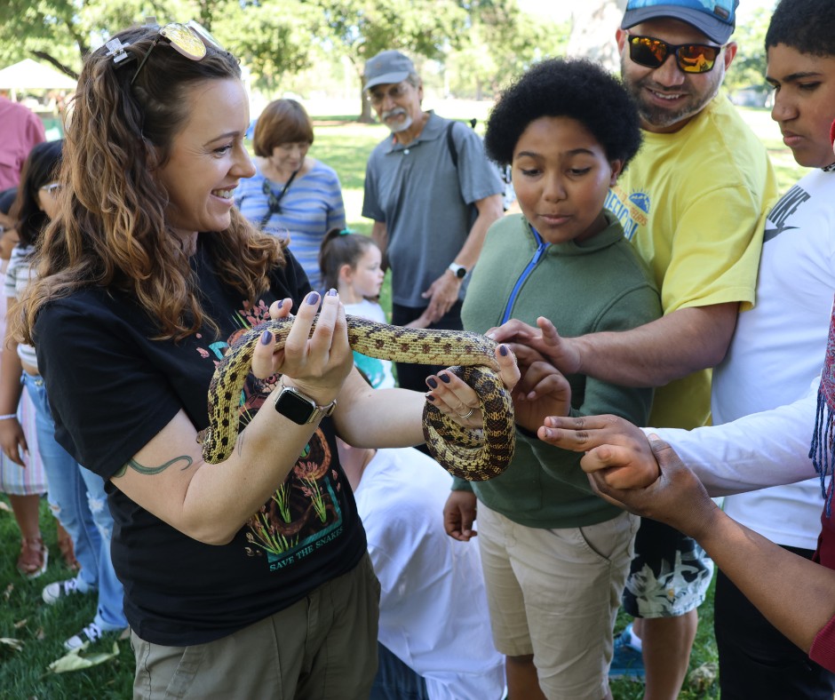 Save The Snakes - 🐍 Why are snakes worth saving? 🐍 Snakes... | Facebook