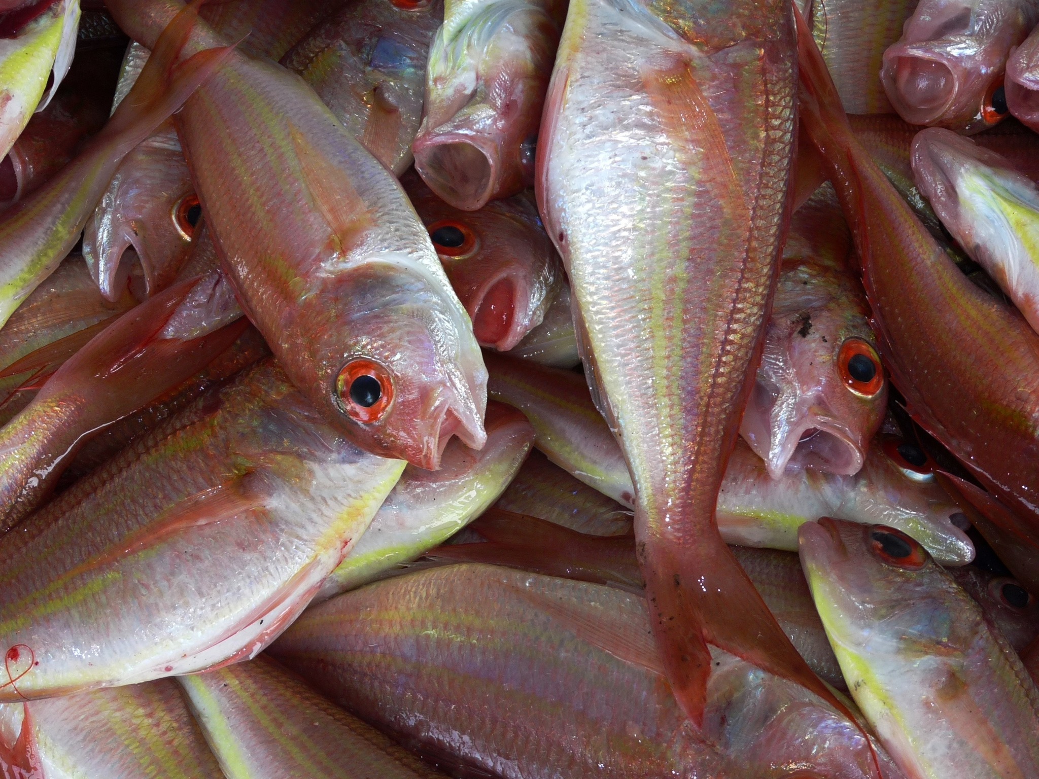Amazing fish cutting