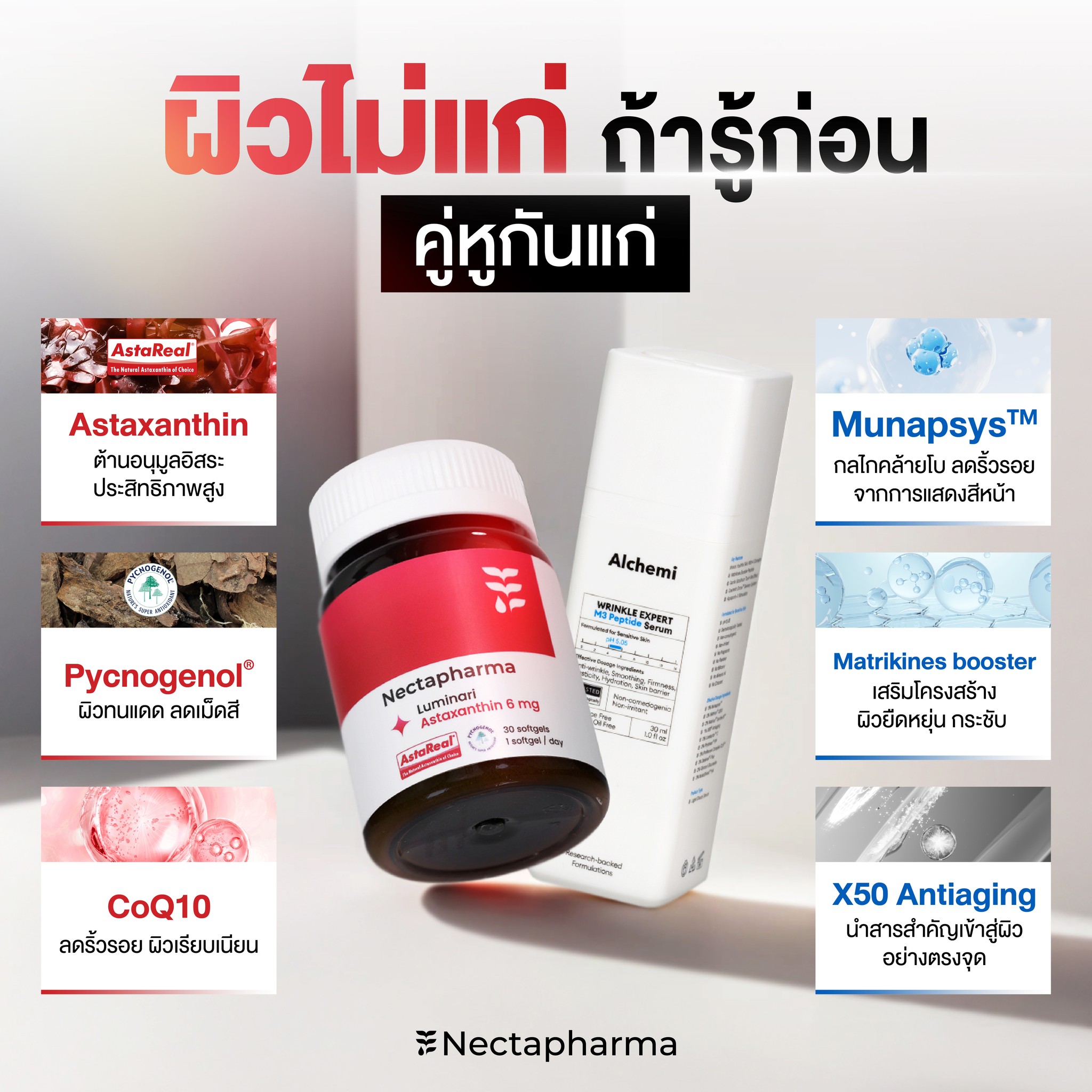 Nectapharma - Nectapharma added a new photo.