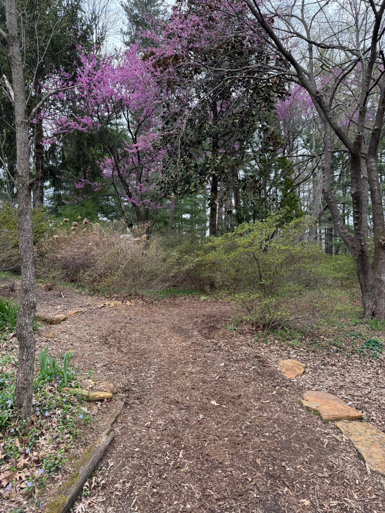 Azalea Path Botanical Garden and Arboretum