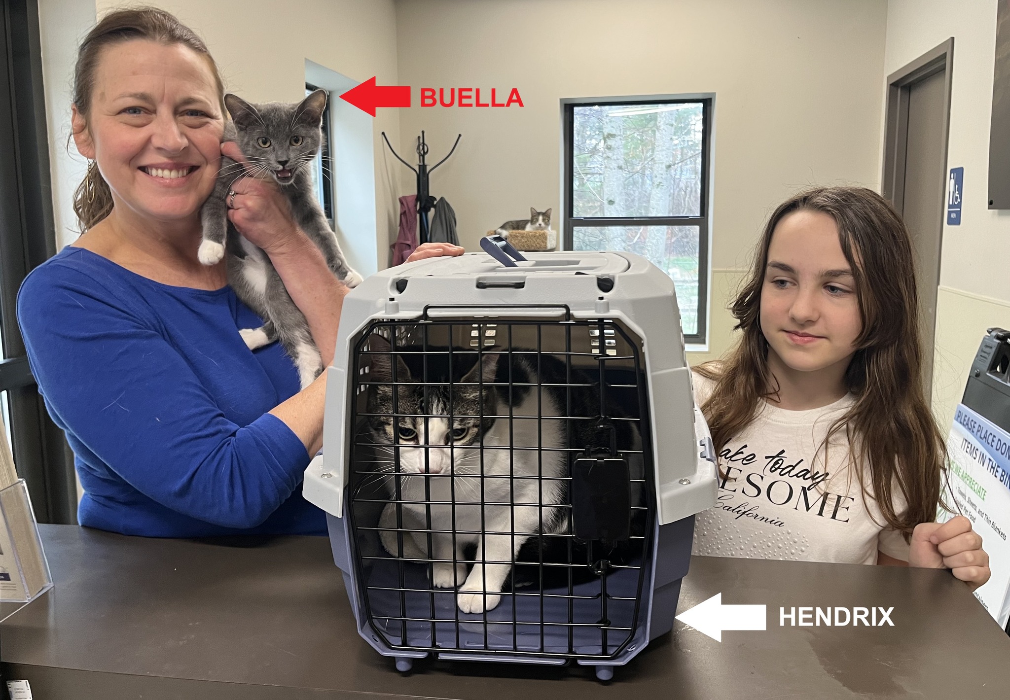 Cashiers-Highlands - 🐈 HERO PET HAPPY TAILS! 🐈 We rescued handsome ...