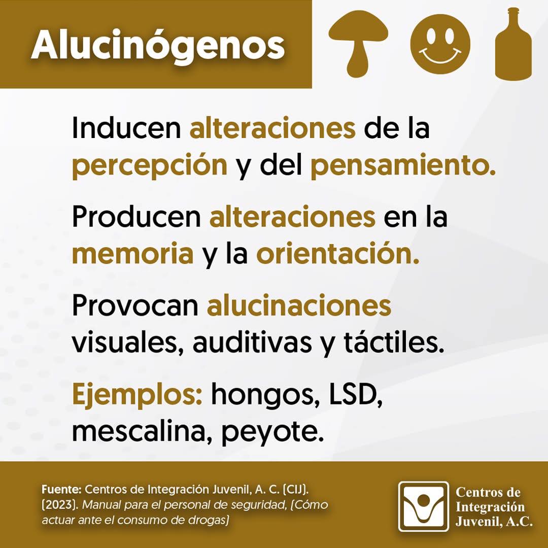 CIJ La Paz - 🌟 Conoce las diferentes clasificaciones de... | Facebook