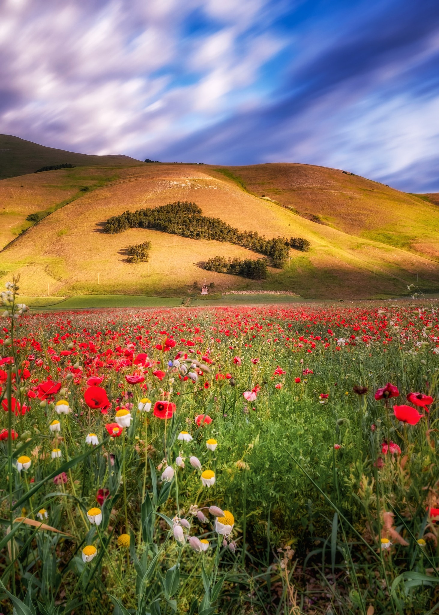 Mi O My Italy - Spring in Umbria. Umbria might just be the best place ...
