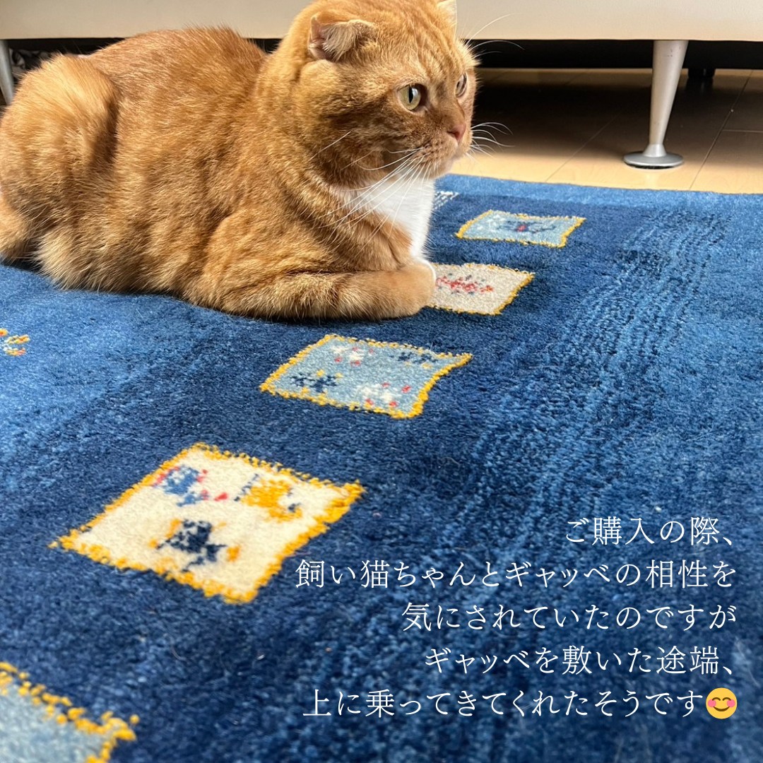 ギャッベ猫ちゃん