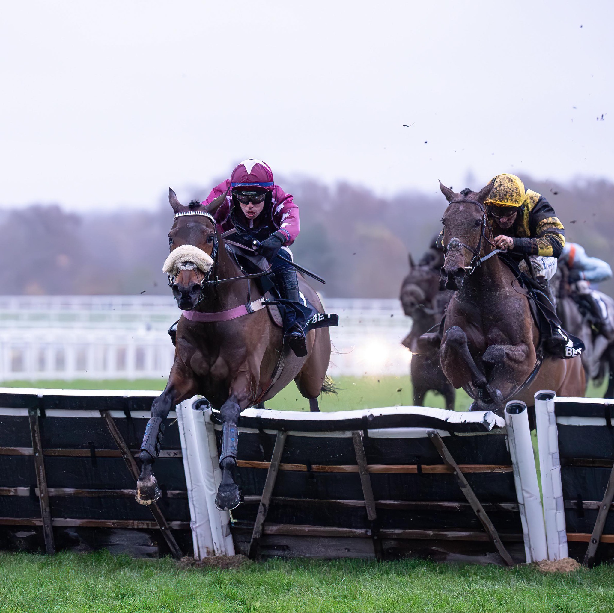 Laura Horsfall Racing added a new... - Laura Horsfall Racing