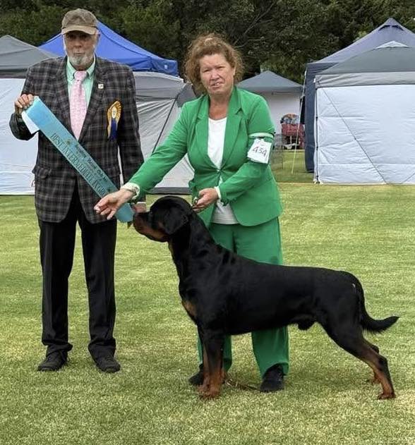 RottweilerClub Queensland - To all of Rottweiler Family and Friends the ...
