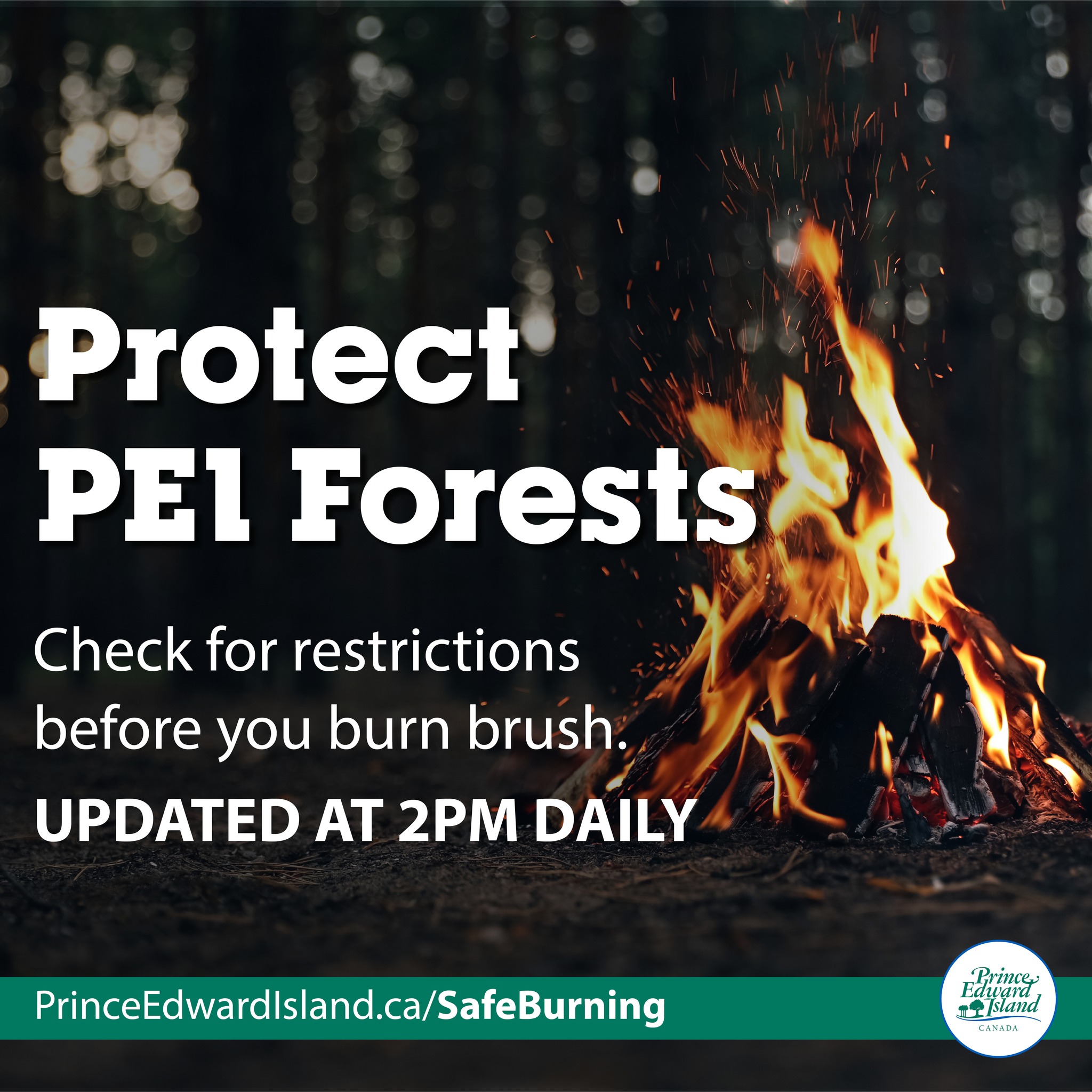 Forests, - 📣Attention residents and visitors: domestic brush burning is ...