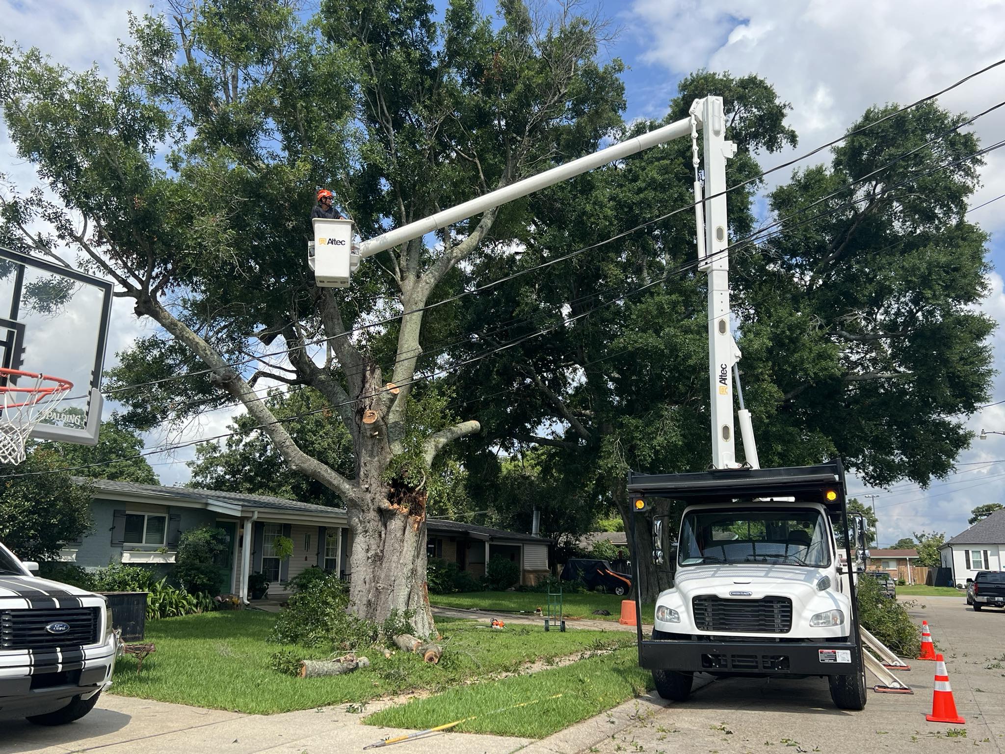 Rings Tree Service | New Orleans LA