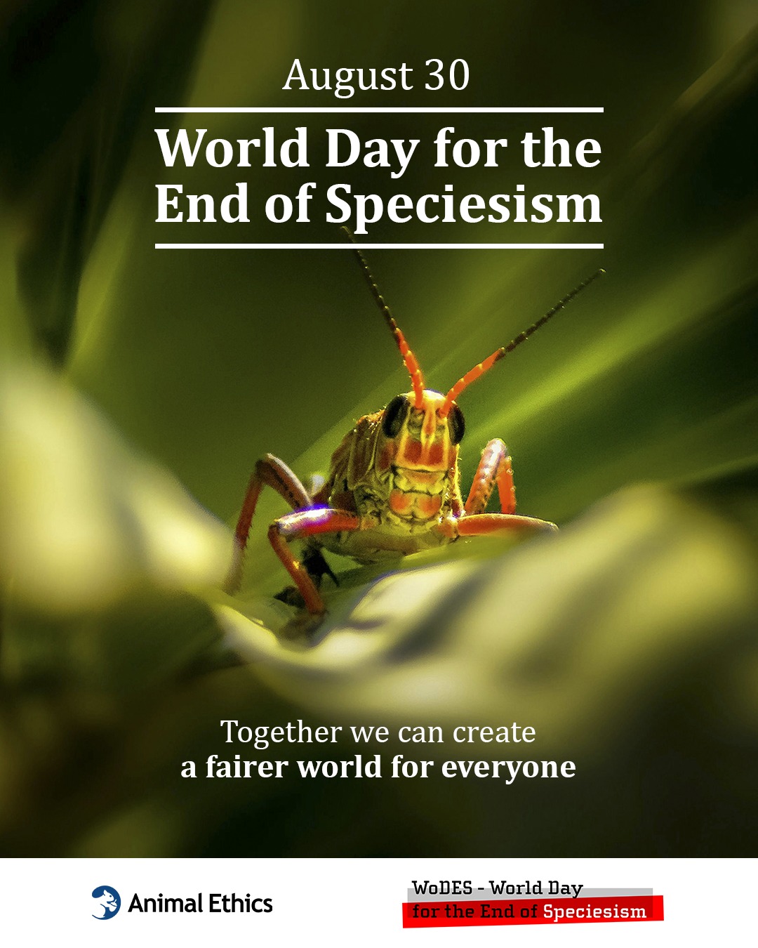 Animal Ethics - Today is the... | Facebook