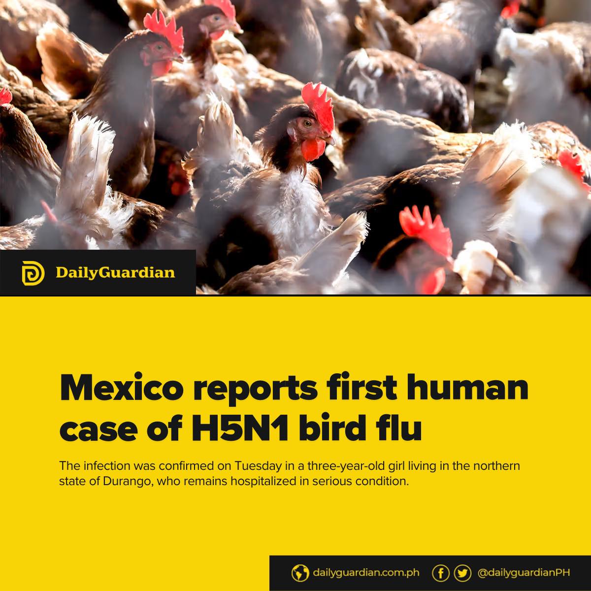 Daily - Mexico has detected its first human case of H5N1 avian ...