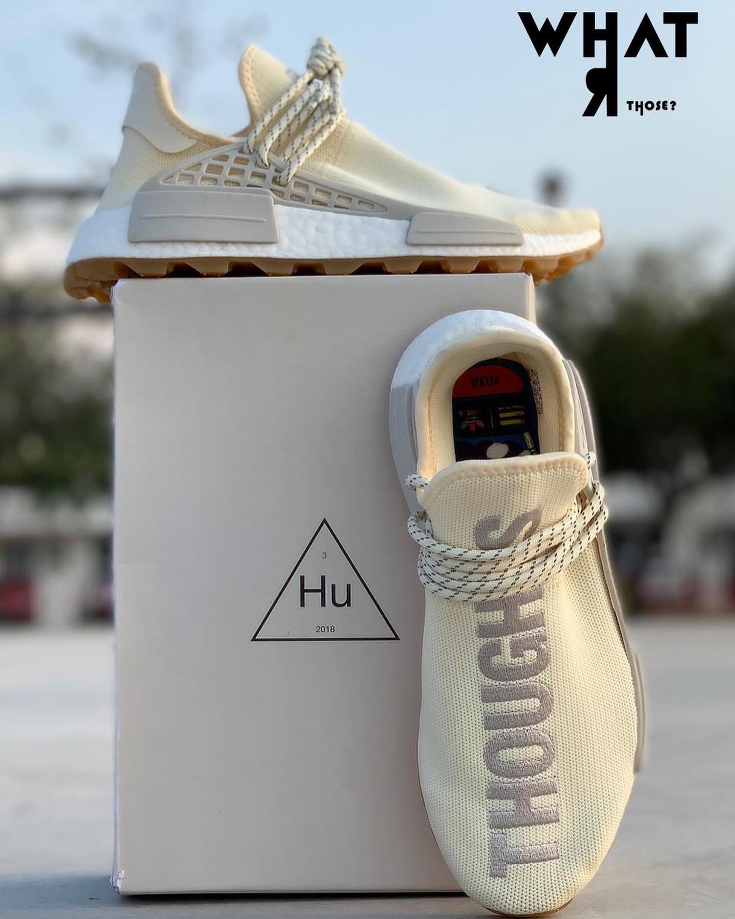 Definitivamente uno de los... - What R Those? Sneakers Mx. | Facebook