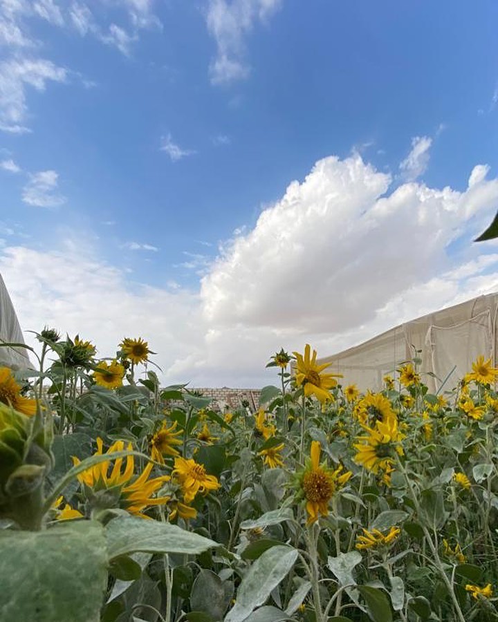NatureWorks - A bright and sunny morning on the... | Facebook