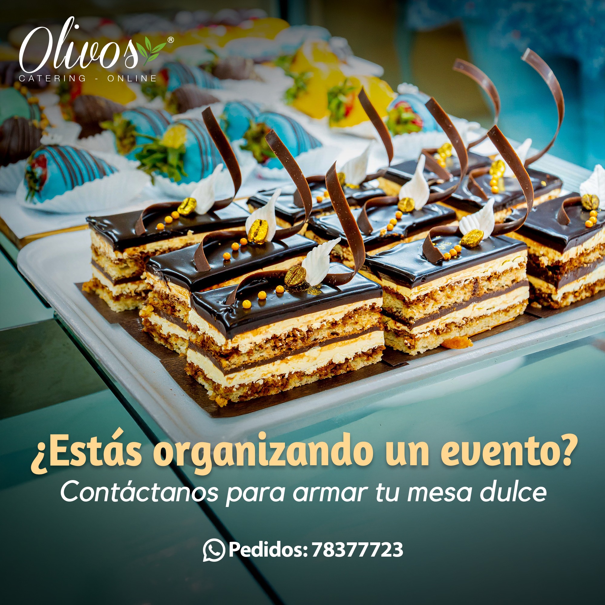 Olivos - Perfectos para: 💍 Bodas 🎂 Cumpleaños 👶 Baby showers 👑 ...