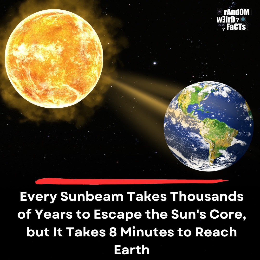 The light touching your skin left the Sun's surface just 8 minutes