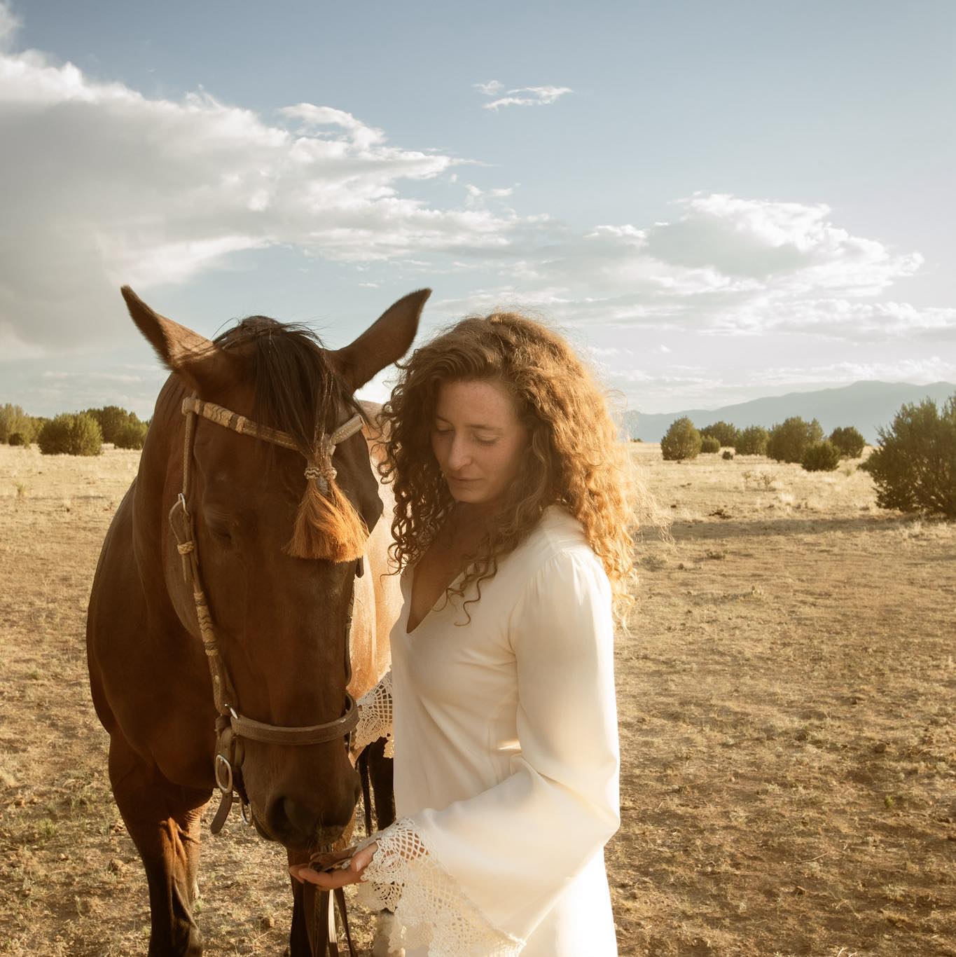 RANCH NOTIFICATIONS vs. your phone notifications 😂🐴 #horse #horses # ...