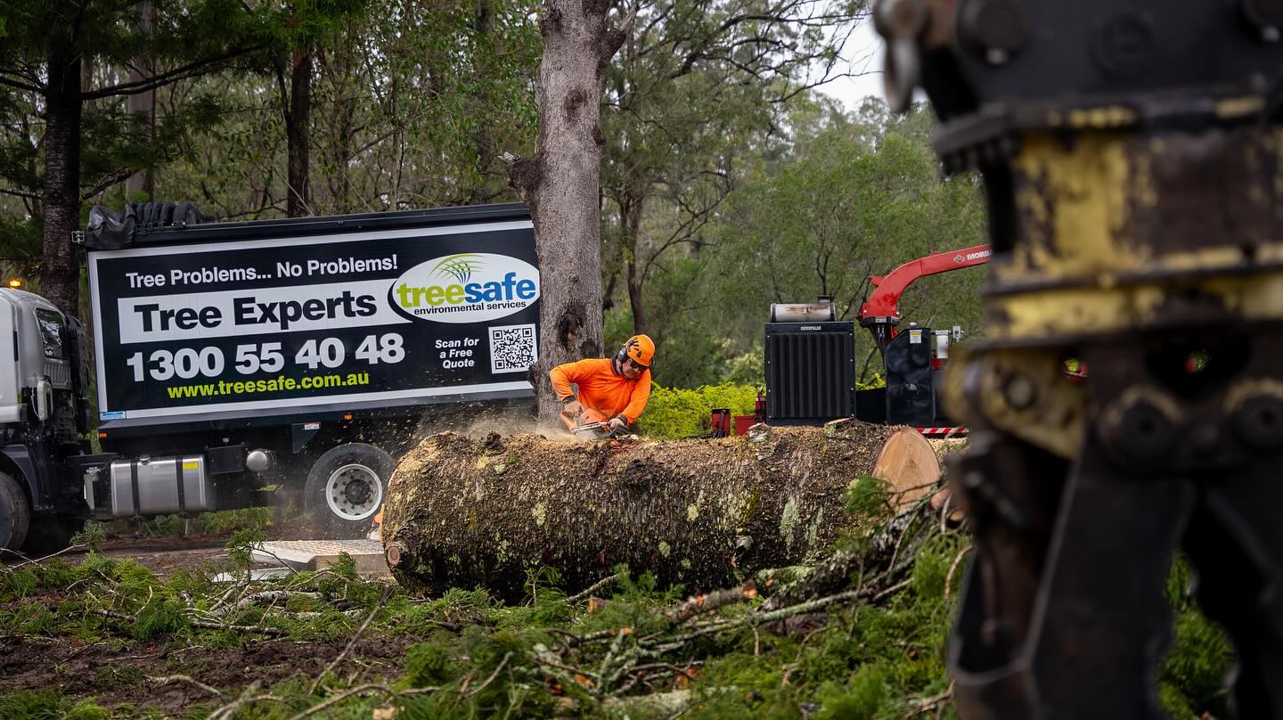 Treesafe Environmental Services | Yatala QLD