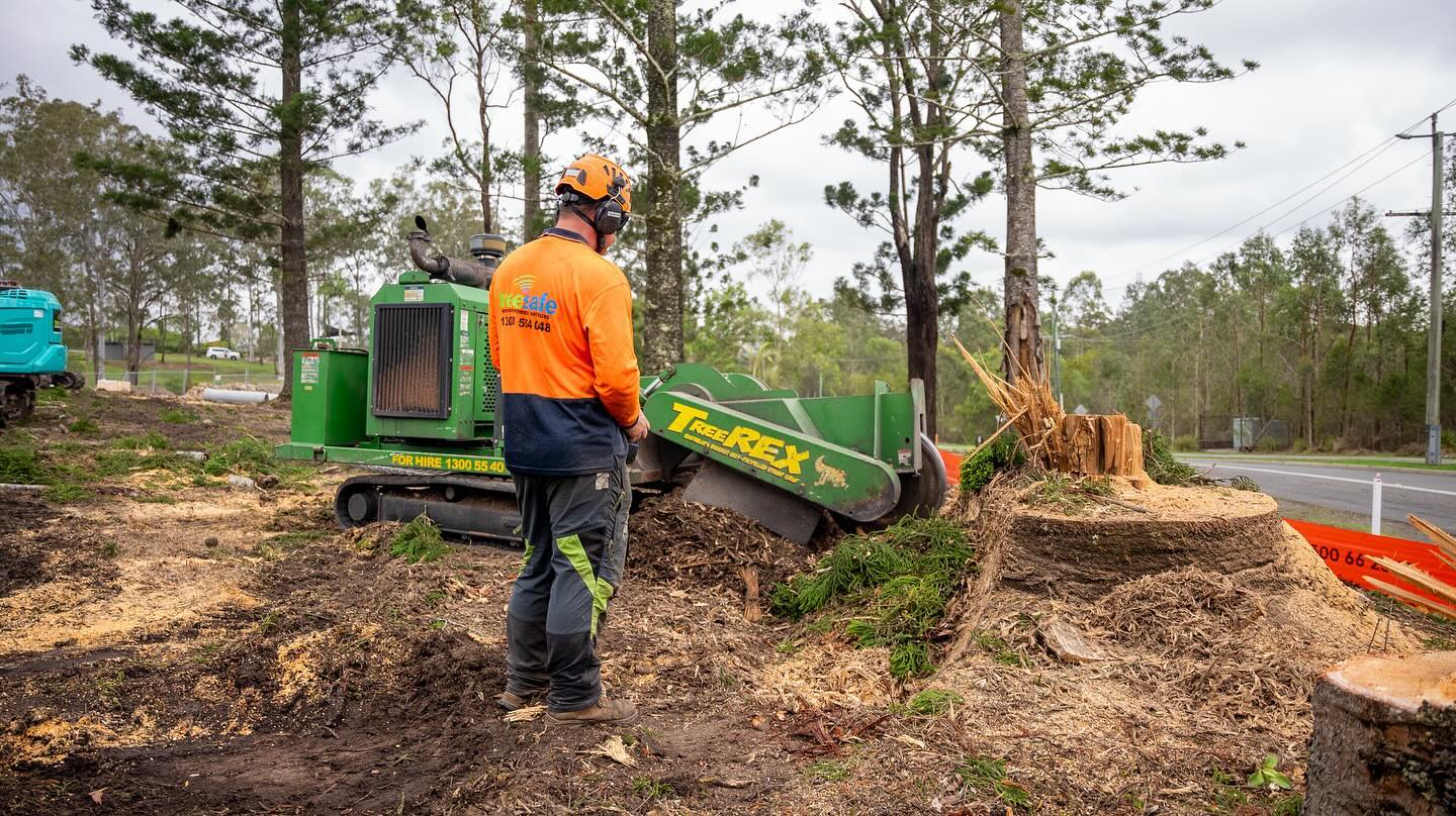 Treesafe Environmental Services | Yatala QLD