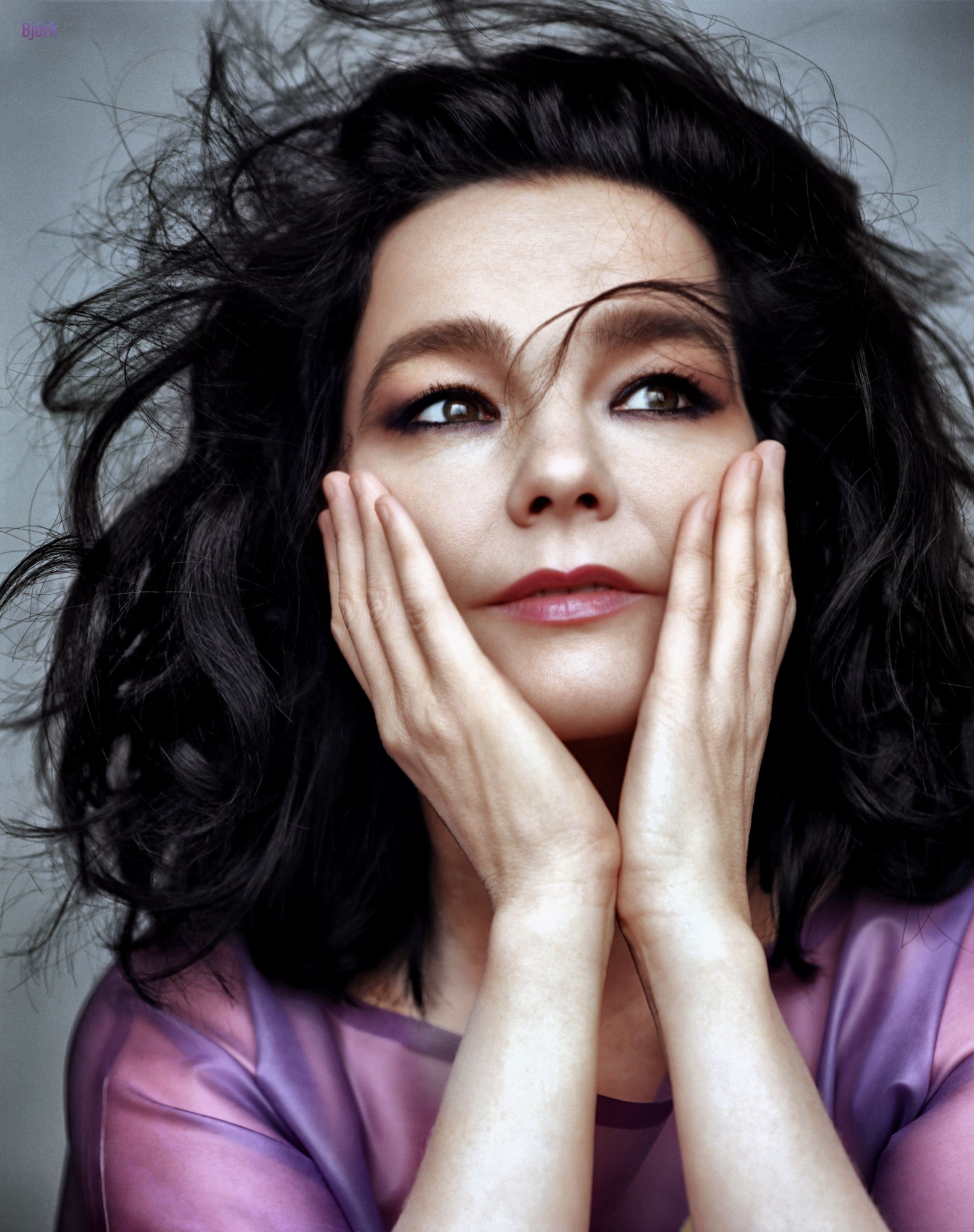 Bjork photographed by Alasdair McLellan for The Gentlewoman
