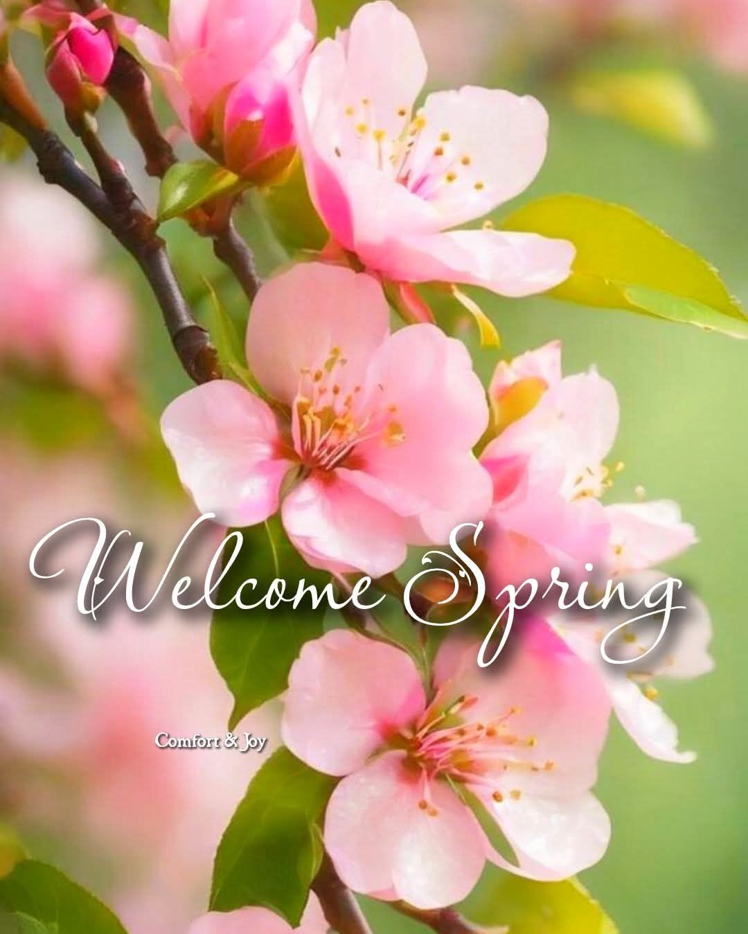🌸Happy 1st Day of Spring 🌸... - Ogdensburg Area Zonta Club | Facebook