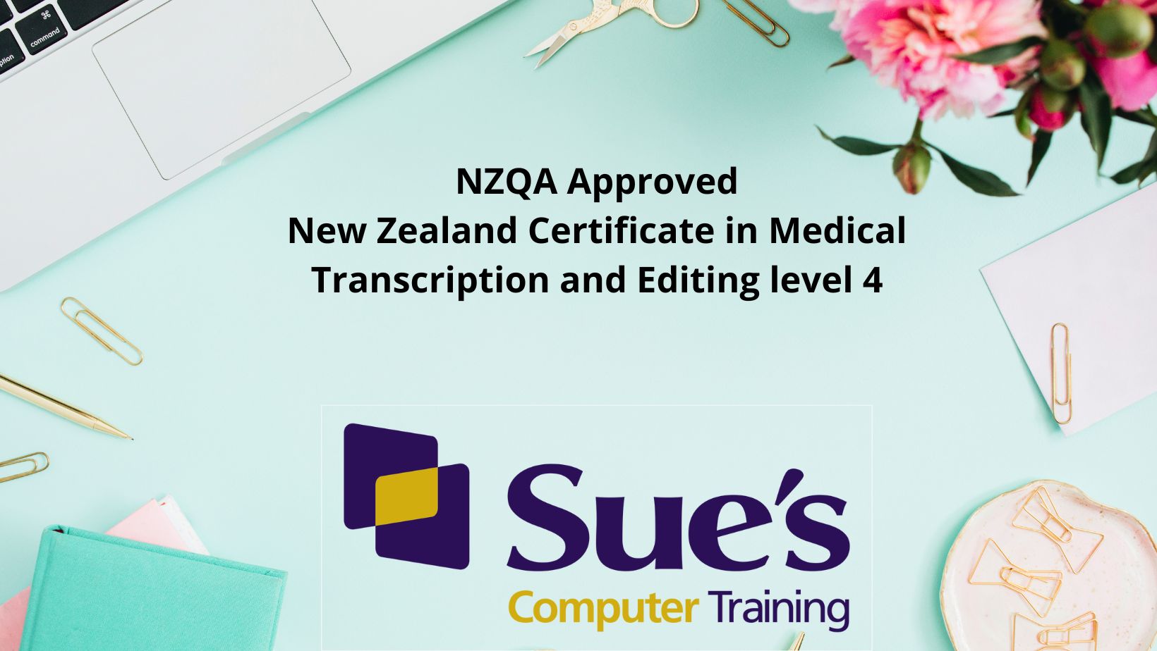 Sue's Computer Training Company | Tauranga