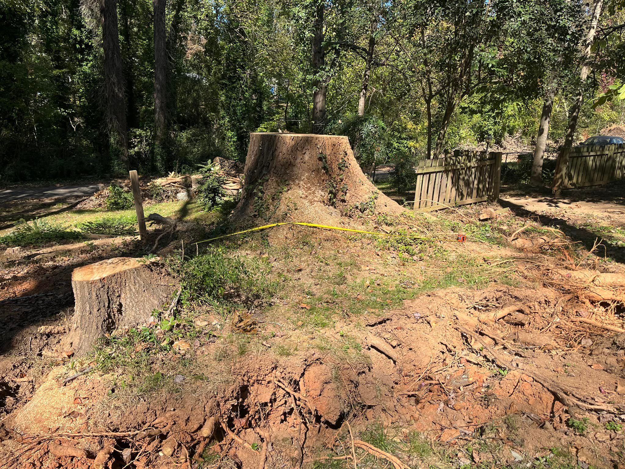 Grinder Stump Removal | Lyman SC