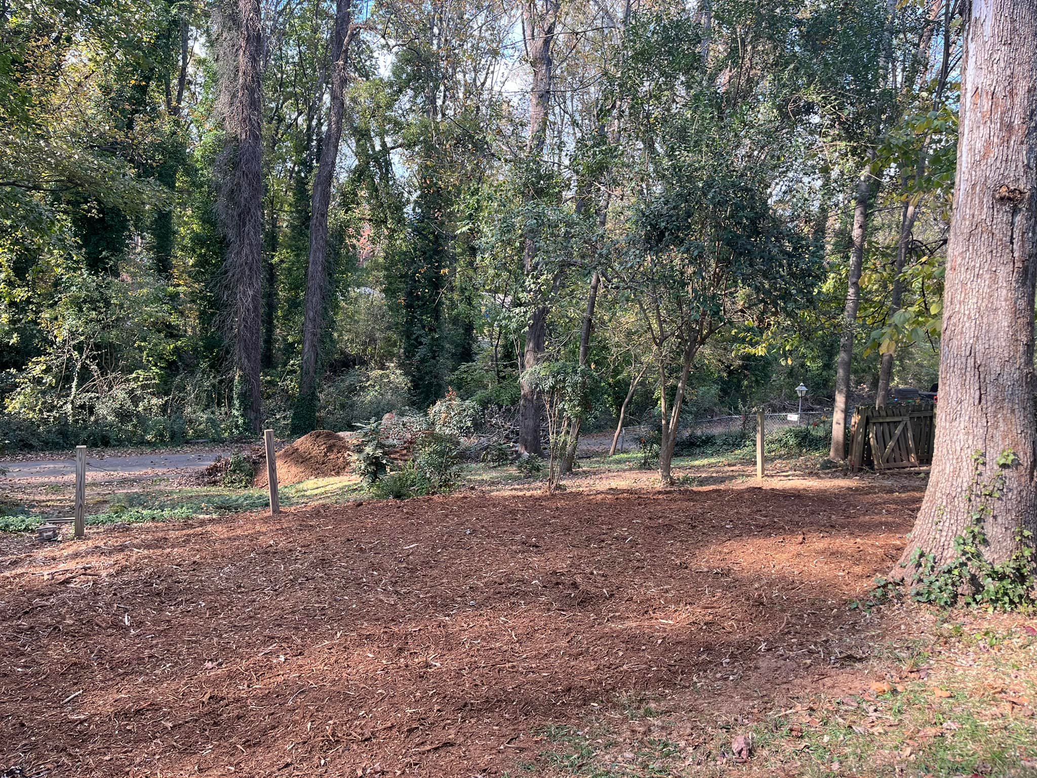 Grinder Stump Removal | Lyman SC