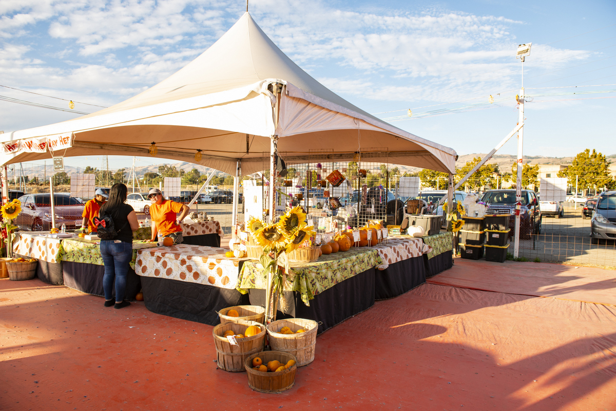 ABC Tree Farms & Pick of the Patch Pumpkins Tully San Jose | San Jose CA