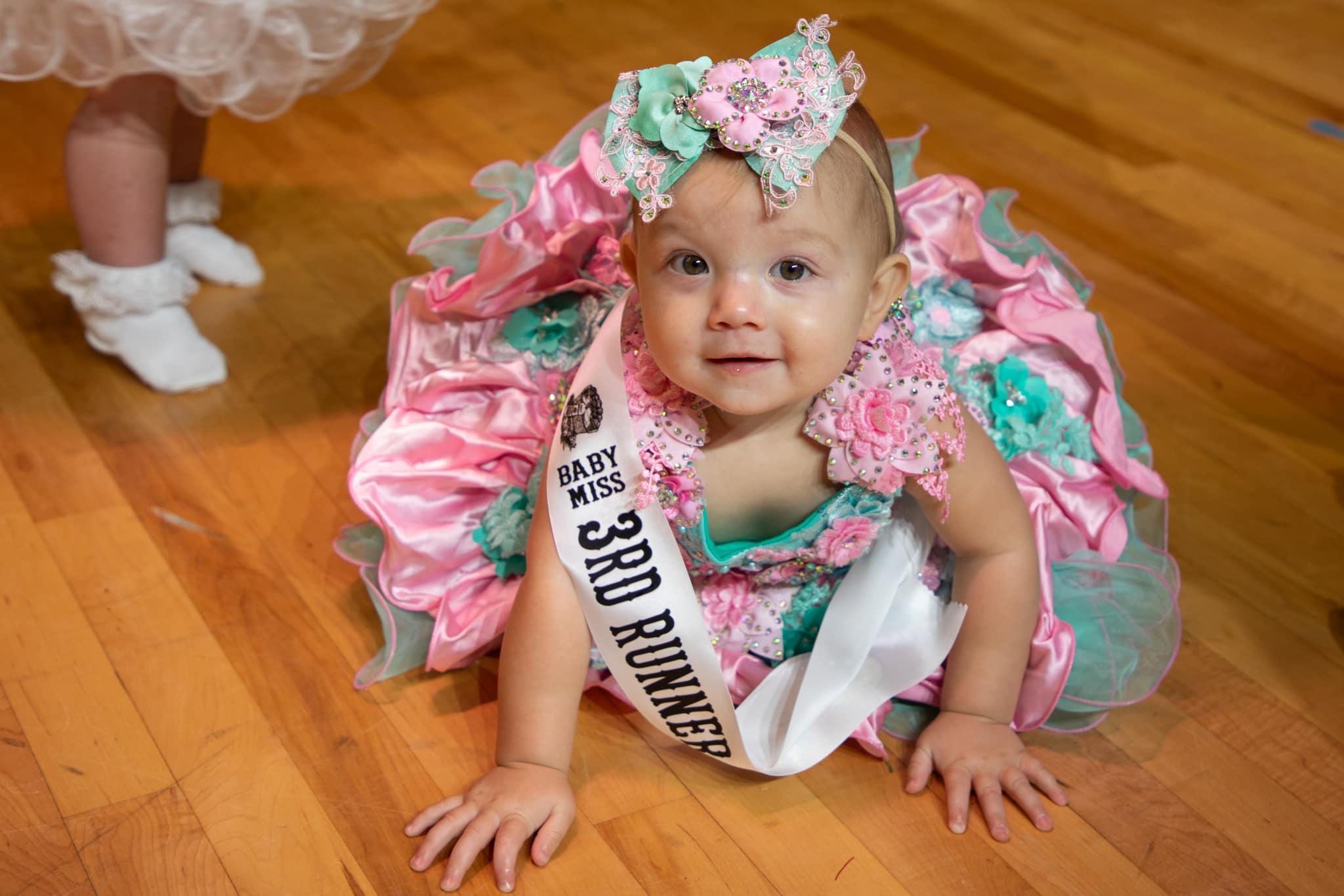 WV Black Walnut... - WV Black Walnut Festival Pageant