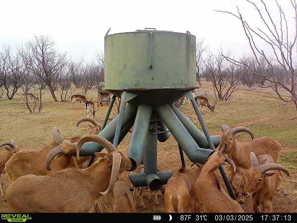 S4 Hunting Ranch