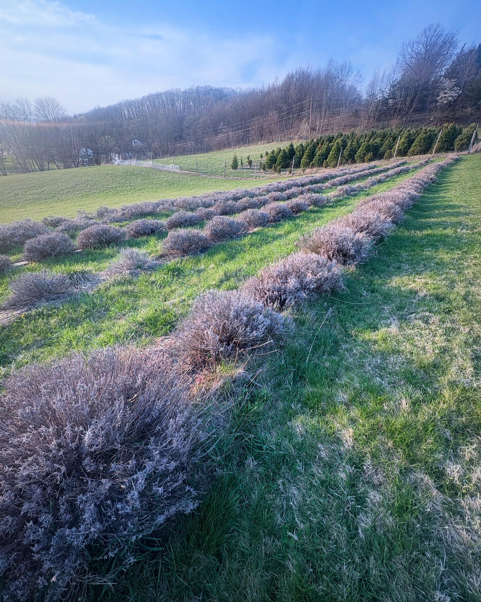 Indian Ridge Farms | Wantage NJ