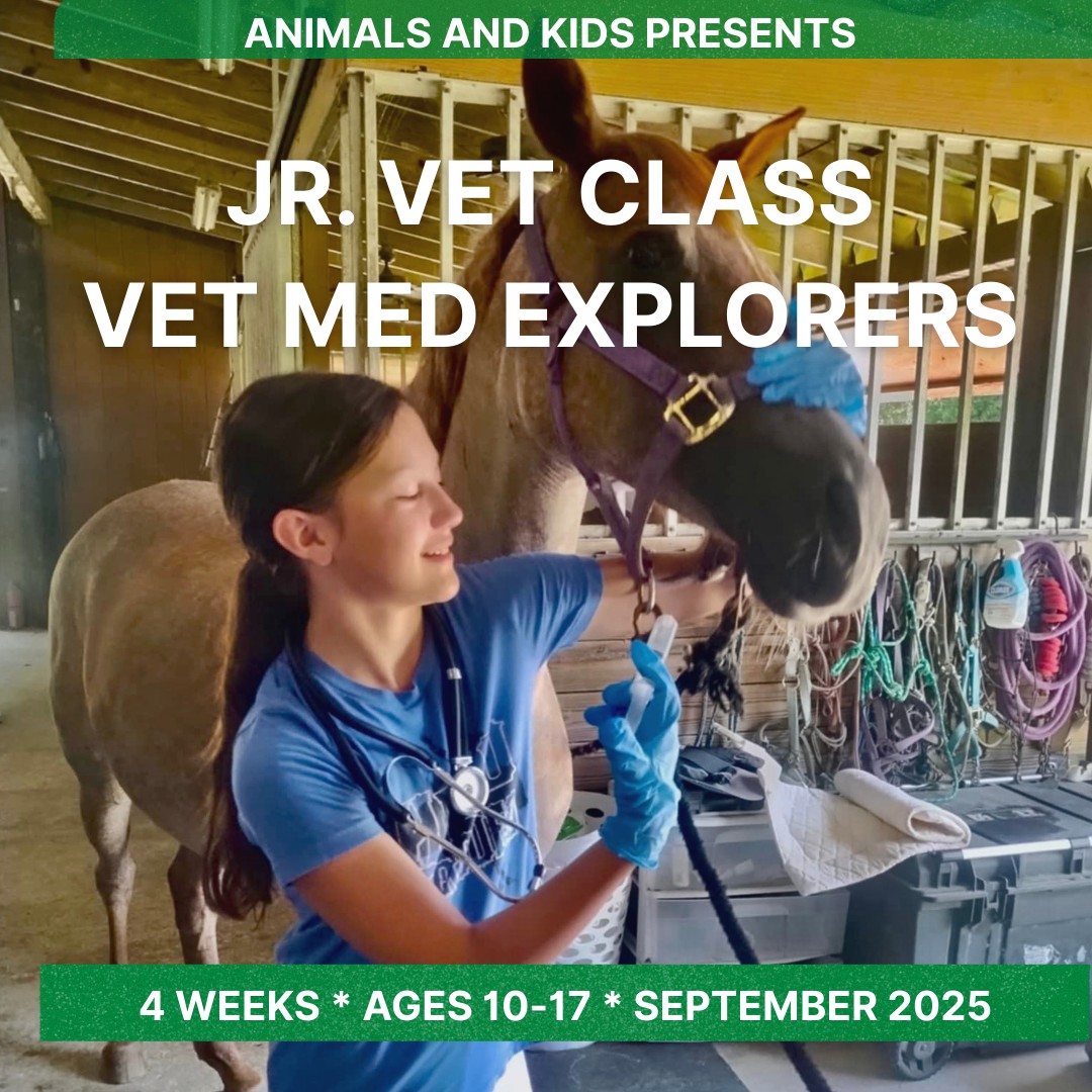 💙🐴 Exciting News at Animals &... - Animals and Kids, INC | Facebook