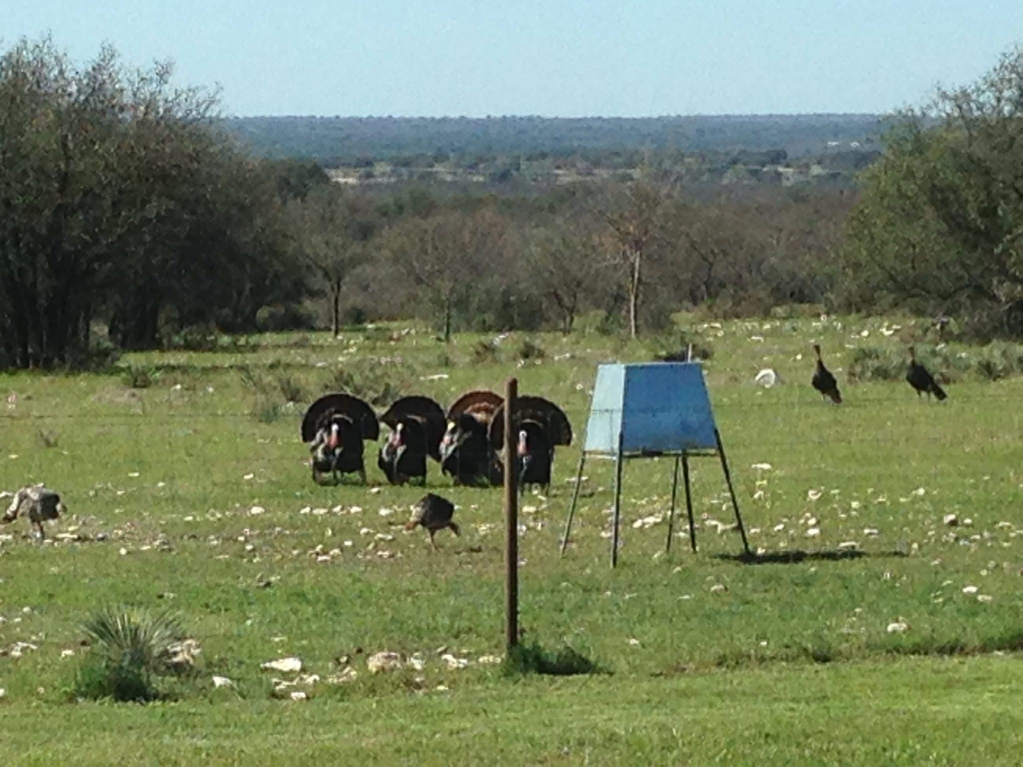 Lucky Draw Ranch | Menard TX