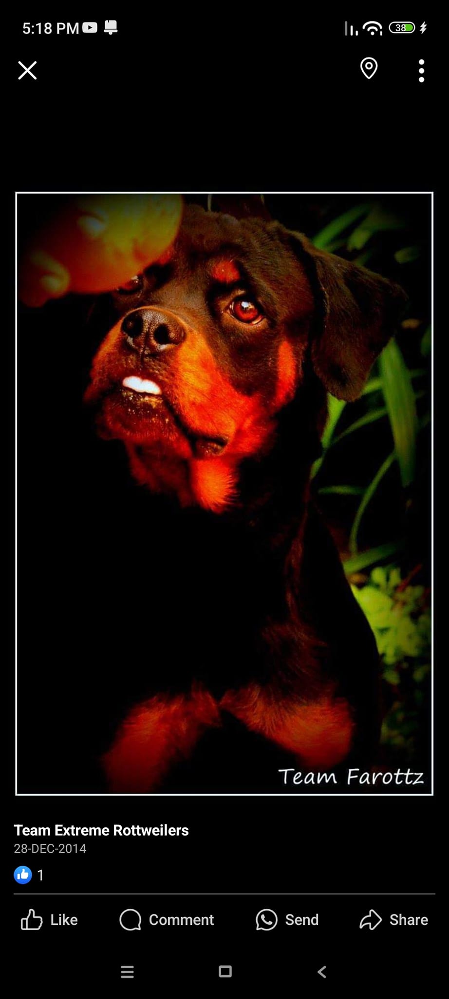 Team Extreme Rottweilers | Gwalior