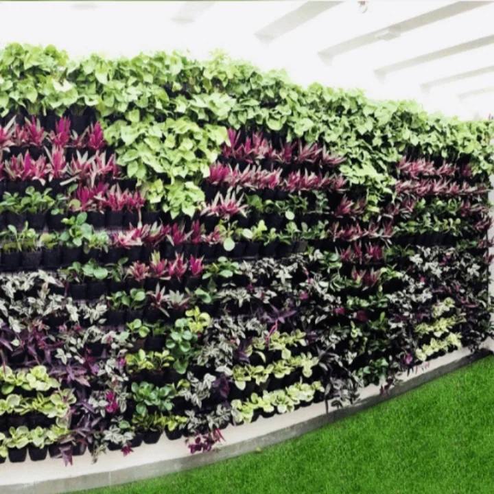 Bio Vertical Garden