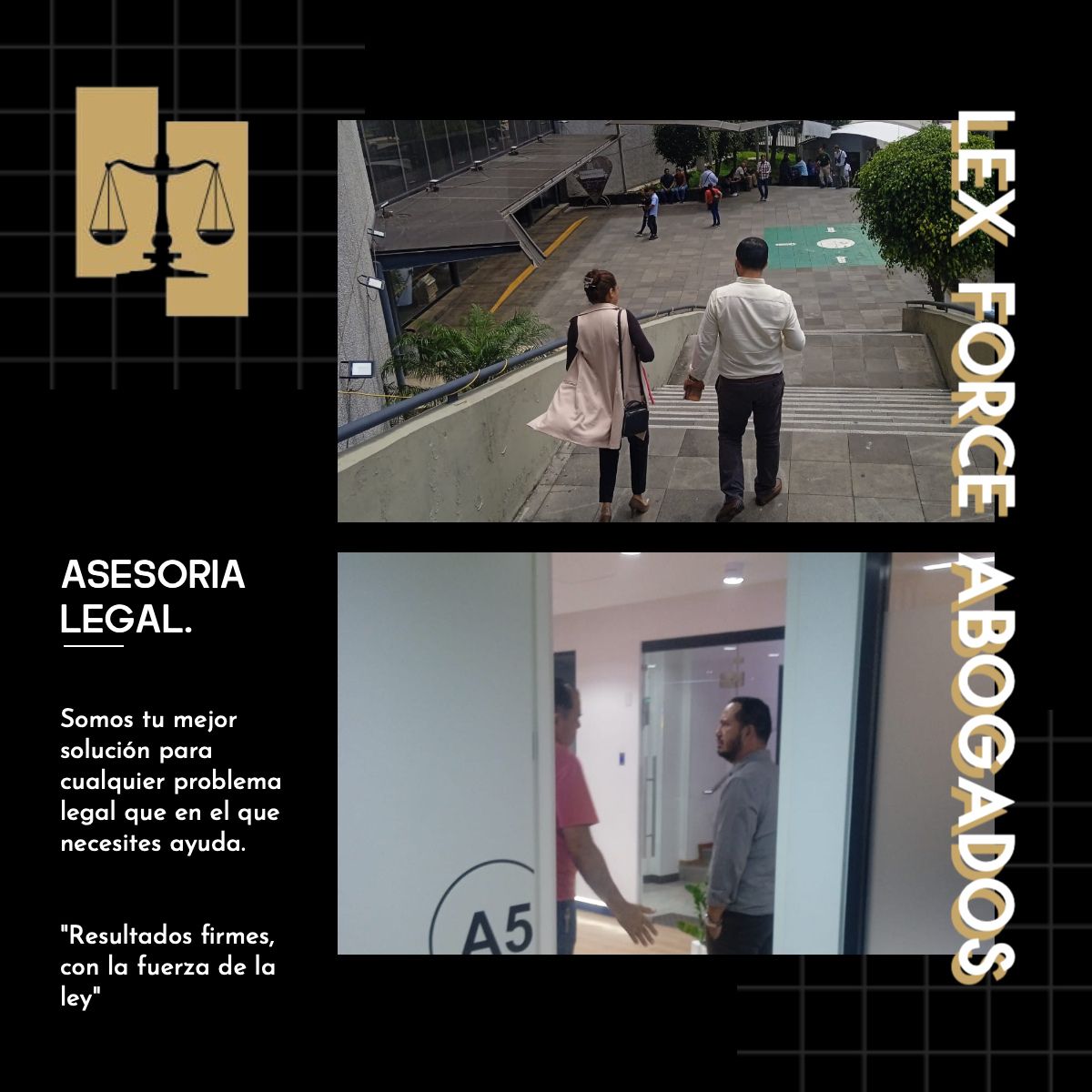 Lex Force Abogados | Boca del Río
