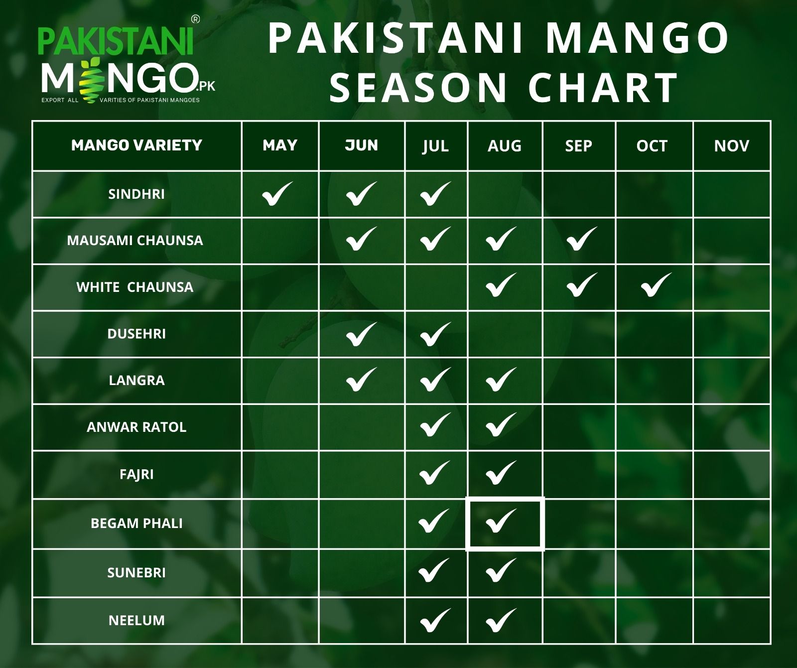 Pakistani - 🥭 Pakistani Mango Season Chart! 🇵🇰 Here’s a quick guide to ...