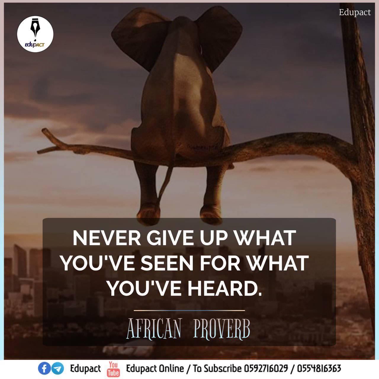 Edupact - ⚜️ SPECIAL EDITION 📚 EDUPACT AFRICAN PROVERB👴🏾👵🏾 Any line of ...