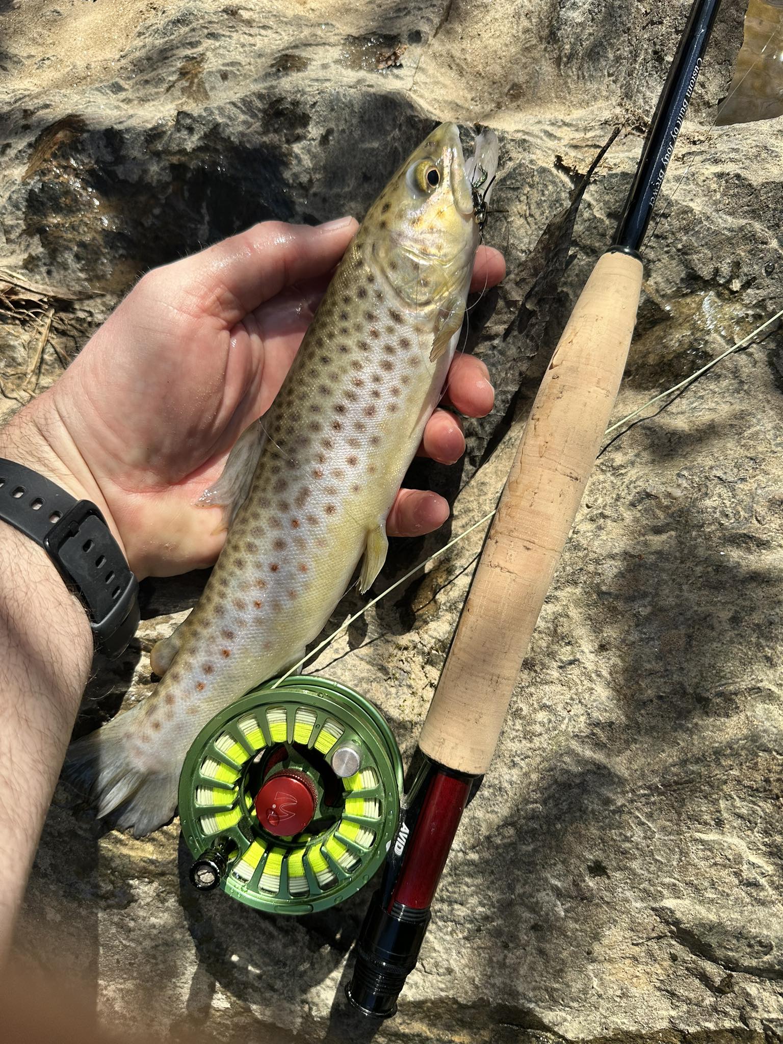 Mud Hole Custom Tackle | Oviedo FL