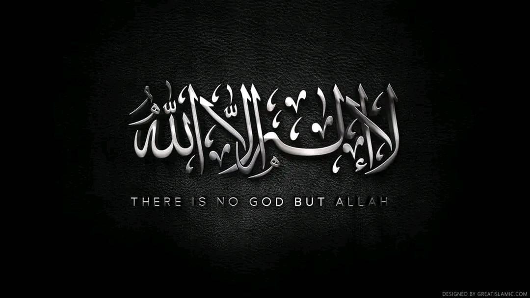 Mohammad Showrob