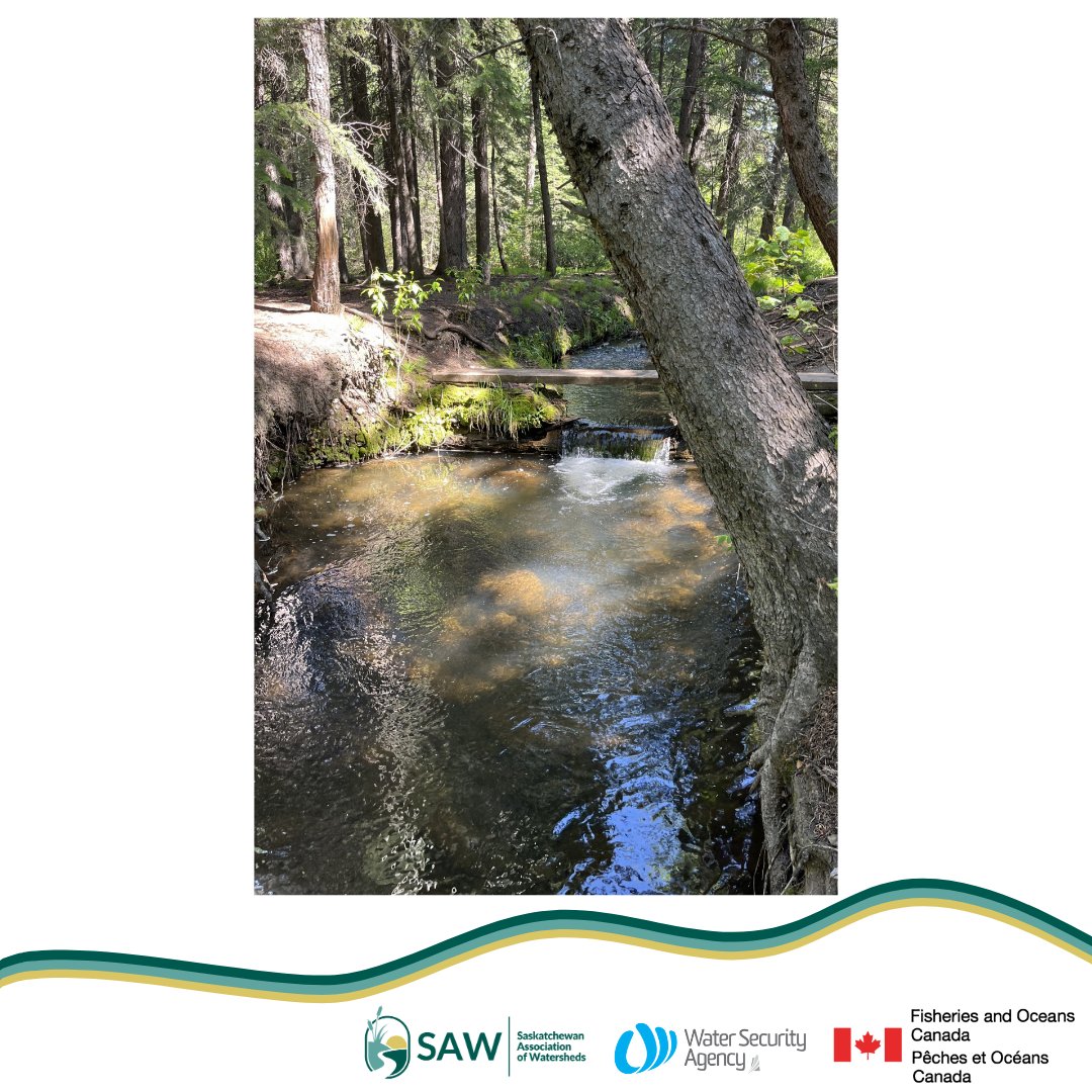 Saskatchewan - Did you know SAW does habitat enhancement projects for ...