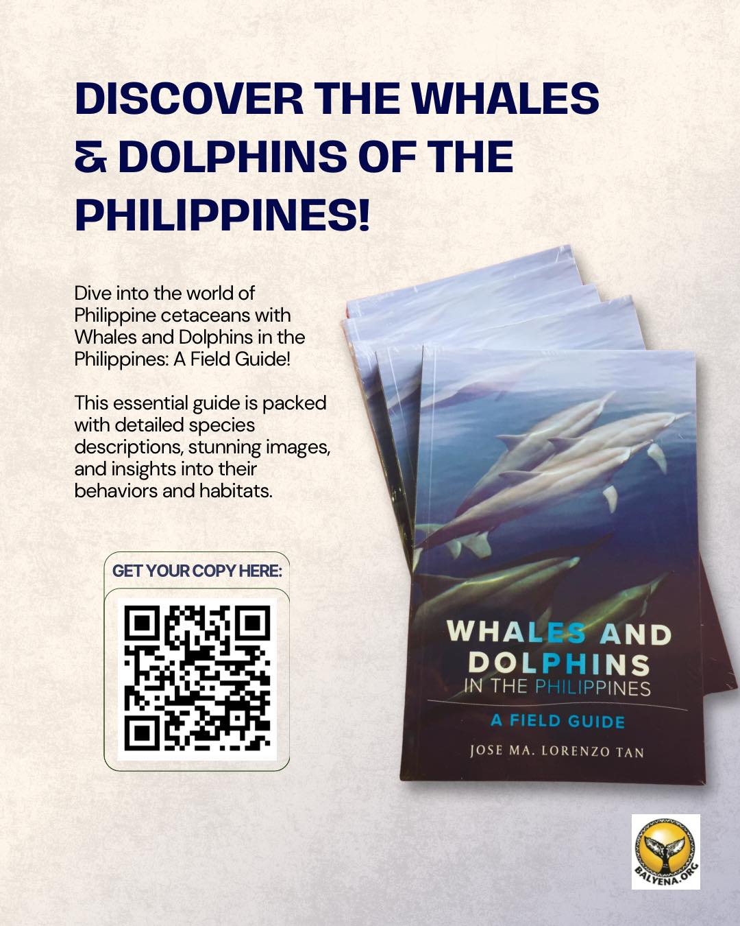 Balyena.org - 📖 Your Guide to Whales & Dolphins in the Philippines! 🐋🐬 ...