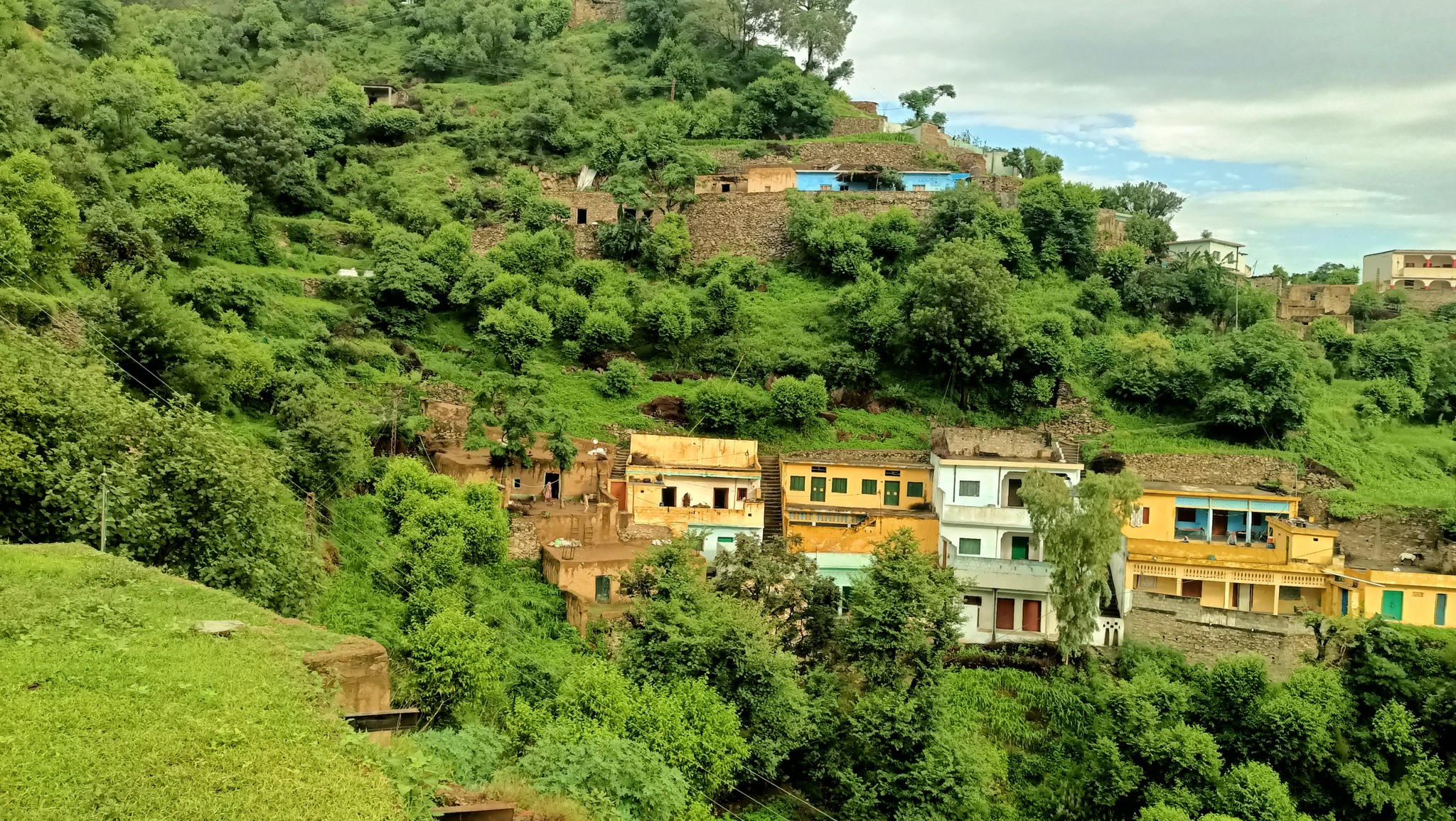 Fiaz | Haripur