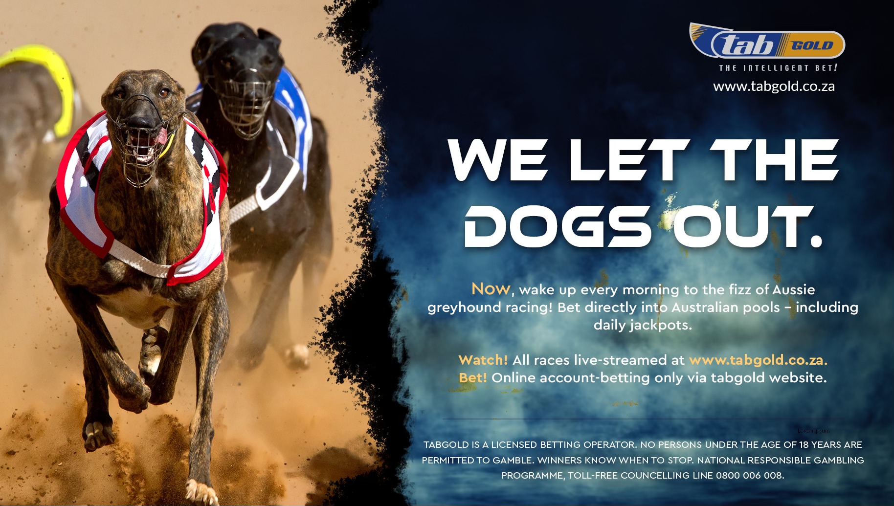 TabGold - 🐾 Ready, Set, Chase! Experience the adrenaline... | Facebook