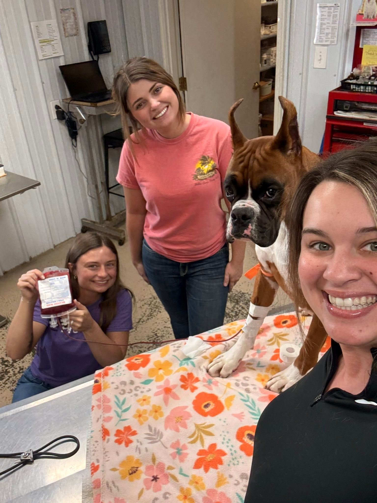 Autumn Ridge Boxers | McLeansboro IL