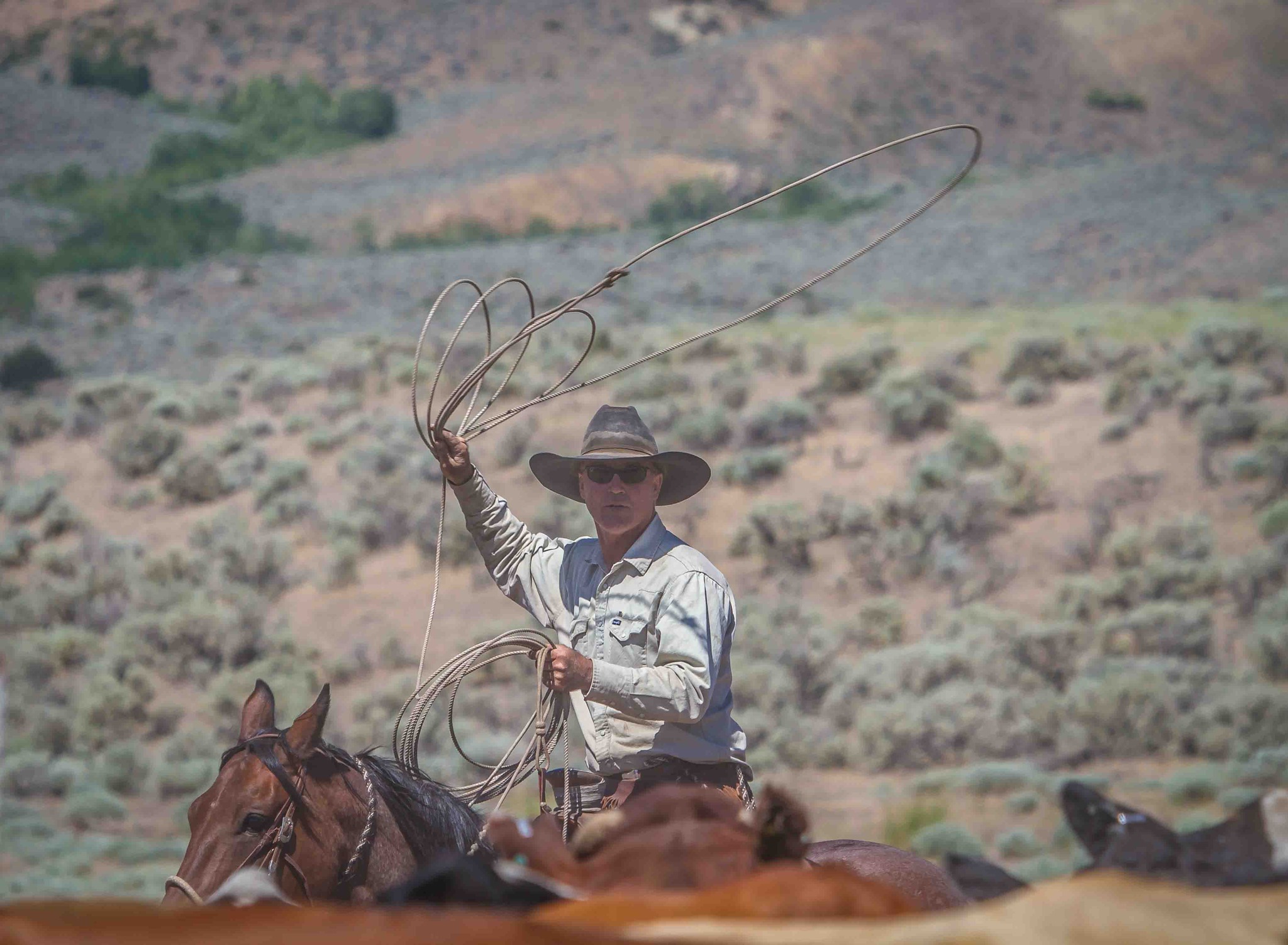 Martin Black - To get the correct hackamore fit, we have to measure in ...